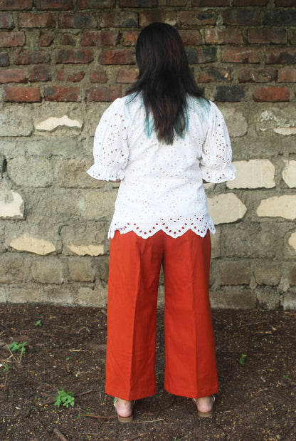 Beautiful Schiffli Short Top With Puff Sleeves